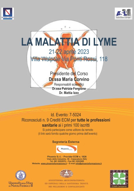BannerLyme Agg. 29.03
